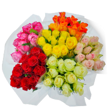 Rozen